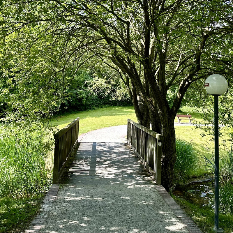 Fußgängerbrücke in der Natur