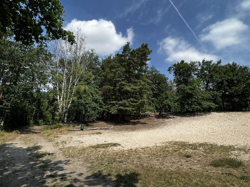 Sandberg Heidesee
