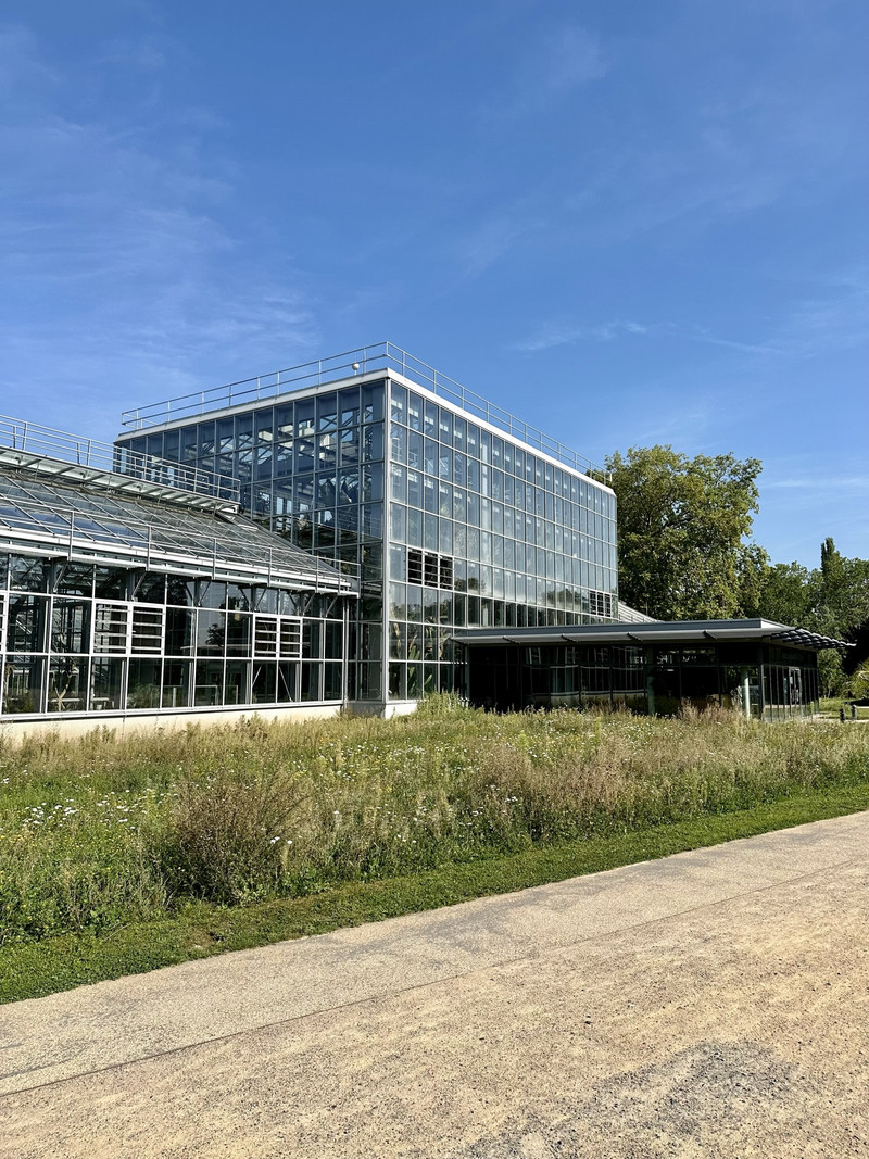 Gewächshaus Gruson